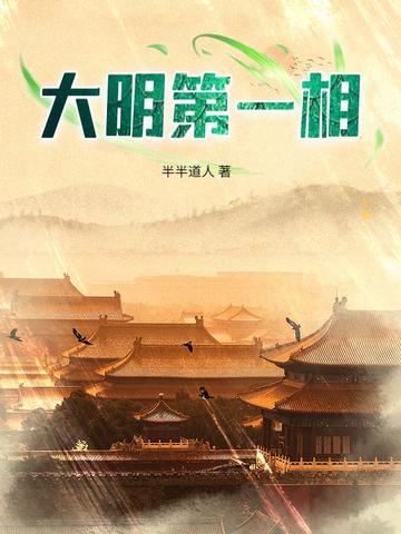 大明第一臣小说
